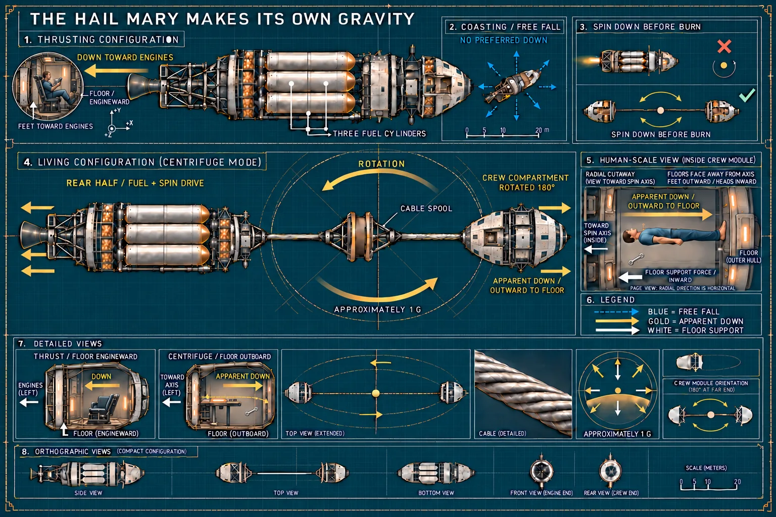 A NASA-inspired technical plate of the Hail Mary shows thrusting, free fall, spin-down-before-burn, and centrifuge configurations. The extended ship separates the rear fuel and spin-drive half from the rotated crew compartment; arrows show apparent down away from the central axis, while the radial cutaway shows the floor at the outer hull.